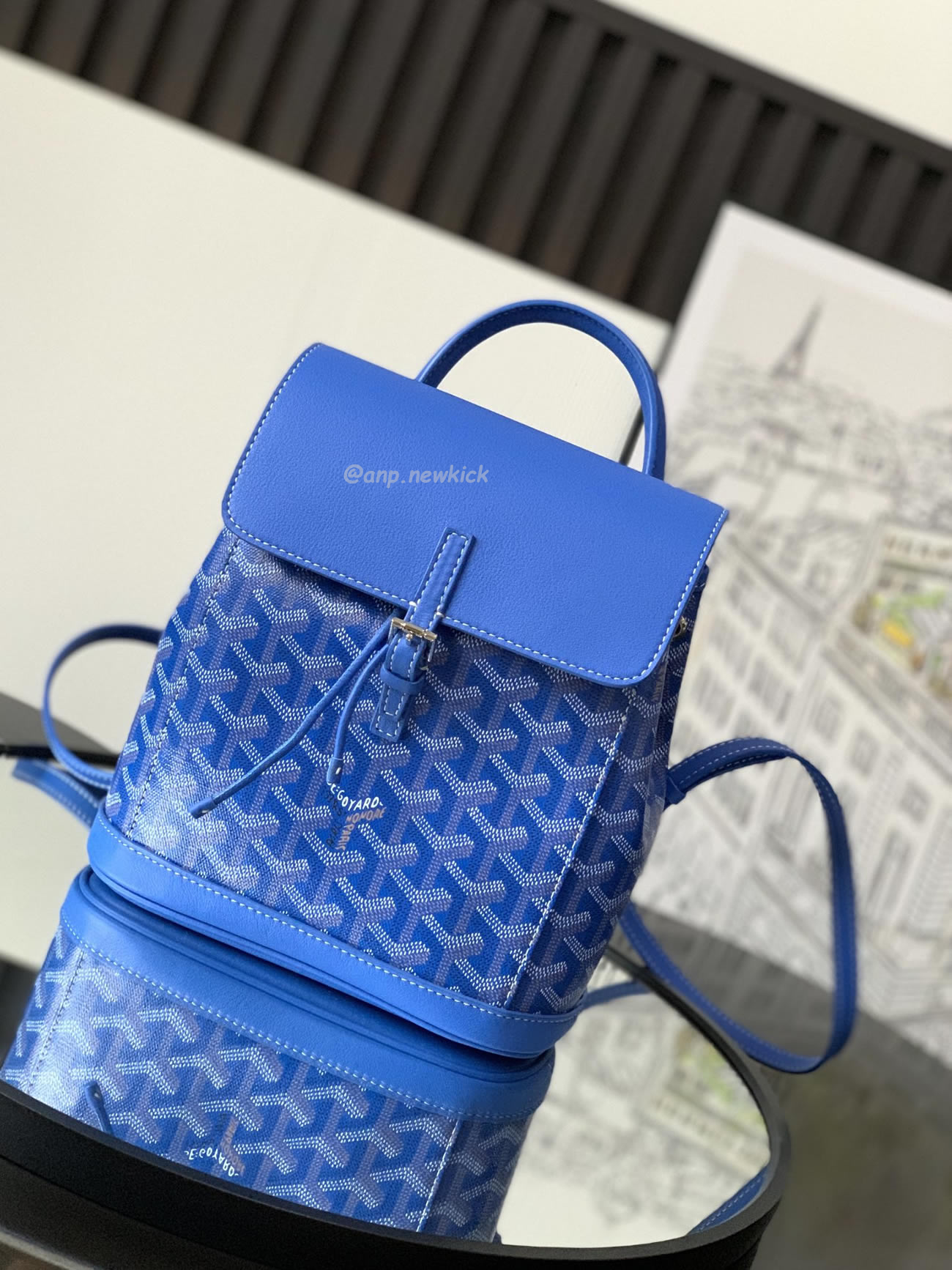 Goyard Alpin Mini Backpack 23 Cm X 9.5 Cm X 19 Cm (17) - newkick.vip